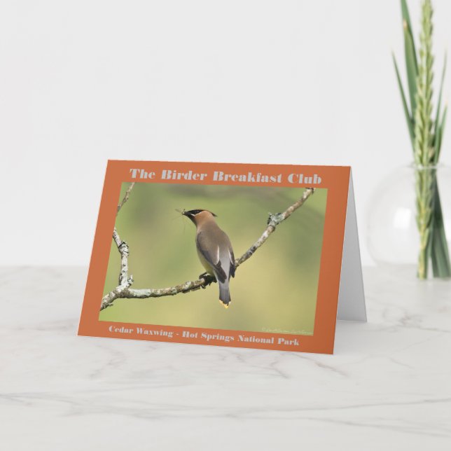 Carte Photographie de la nature Cèdre cire Oiseau (Devant)