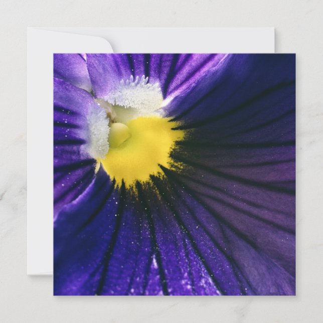 Carte Photographie de macro inspirationnelle violet mode (Devant)