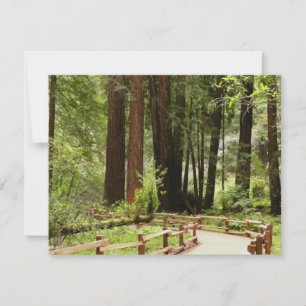 Carte Photographie de nature sur le sentier I de Muir Wo
