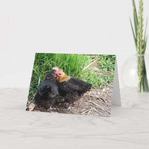 Carte Photographie de poules câlins personnalisée