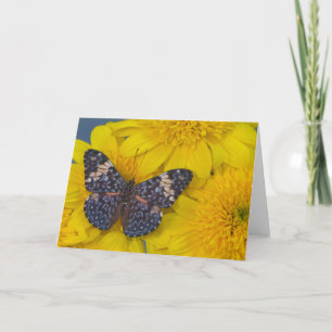 Carte Photographie de Sammamish Washington du papillon