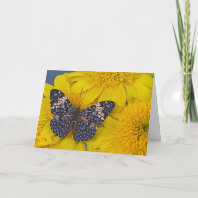 Carte Photographie de Sammamish Washington du papillon (Devant)