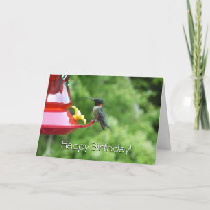 Carte Photographie d'oiseau Colibri à gorge rubis
