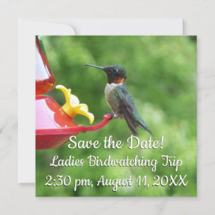 Carte Photographie d'oiseau Colibri à gorge rubis