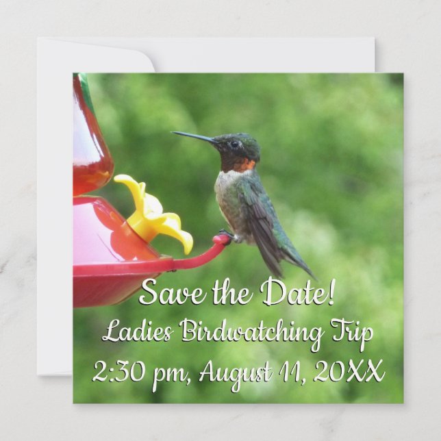 Carte Photographie d'oiseau de colibri à gorge rubis (Devant)
