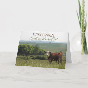Carte Photographie du Midwest   Belle vache et paysage