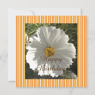 Carte Photographie florale blanche Anniversaire