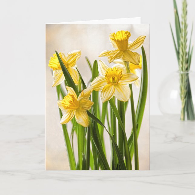 Carte Photographie florale : Daffodiles de printemps jau (Devant)