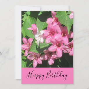 Carte Photographie florale rose pour anniversaire 
