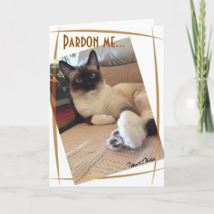 Carte Photographie personnalisée de chaton siamois migno