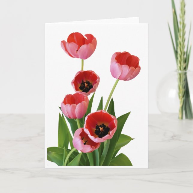 Carte Photographie rose de bouquet de tulipe de ressort (Devant)