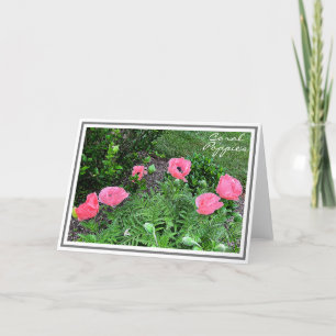 Carte Photographie Six Coral Coloured Poppies in Garden