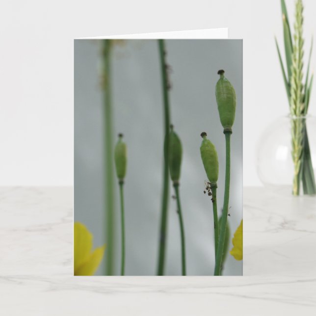 Carte Photos et ombre 11 Floral Photography Salutation C (Devant)