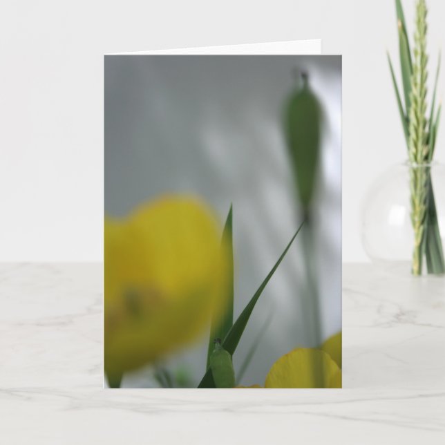 Carte Photos et ombre 4 Floral Photographie Salutation C (Devant)