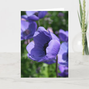 Carte Photos florales de l'anémone bleu violet GC
