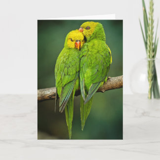 Carte Photos Inséparables de Green Parrots