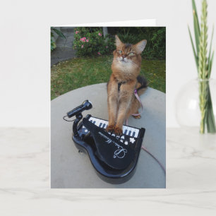 Carte Piano Cat, chanteur somalien jouant du piano amusa
