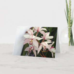 Carte Picture