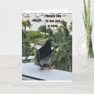 CARTE PIDGEON COOING *JOYEUX ANNIVERSAIRE* POUR VOUS !
