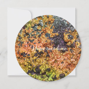 Carte Pierres tombales Rusty