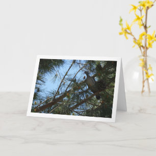 Carte Pigeon en bois de pin