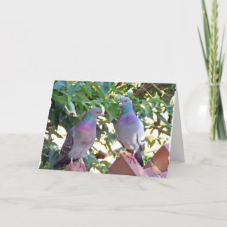 Carte Pigeon friends