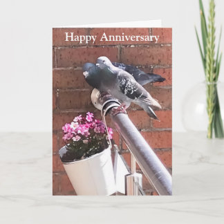 Carte Pigeon paire et Fleurs éditable anniversaire