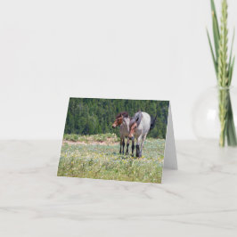 Carte Pilar et Feu sauvage Pryor Mountain Chevaux sauvag