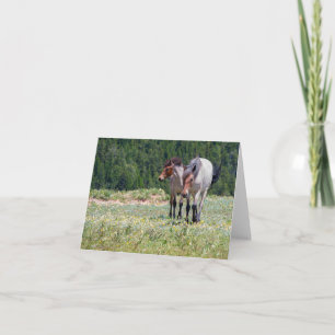 Carte Pilar et Feu sauvage Pryor Mountain Chevaux sauvag