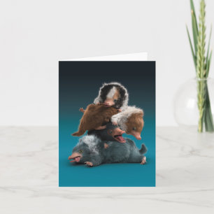 Carte Pile bébé NIFFLER™