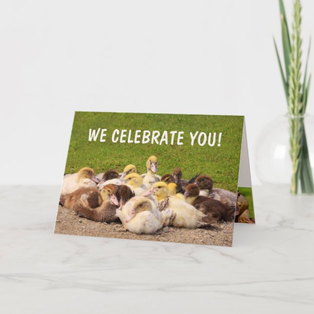 Carte Pile O'Ducks Anniversaire (Devant)