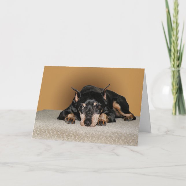Carte Pin de minute de Pinscher miniature aka (Devant)