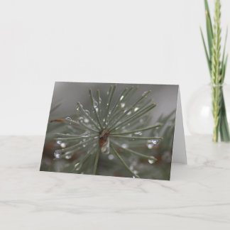 Carte Pin de pluie doux