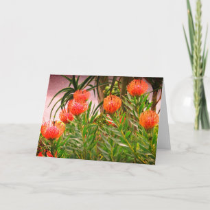 Carte Pincushion Tango #1