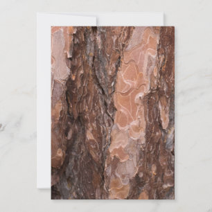 Carte Pine tree bark