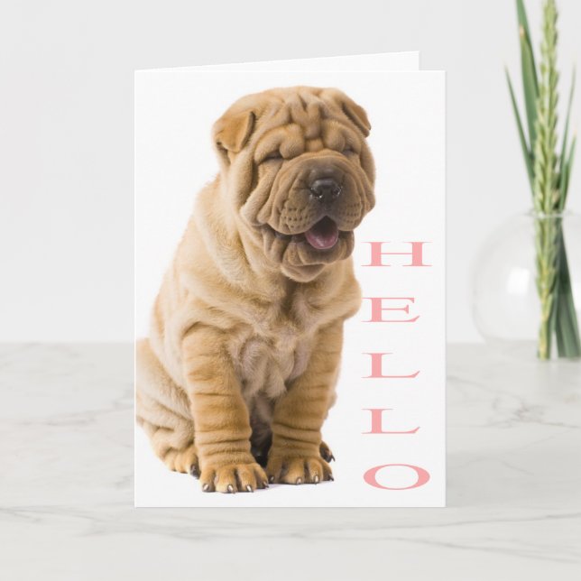 Carte Pink Hello Shar Pei Puppy Dog Blank (Devant)