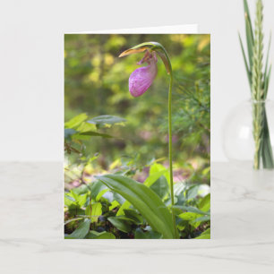 Carte Pink Lady Slipper Blank Note Card