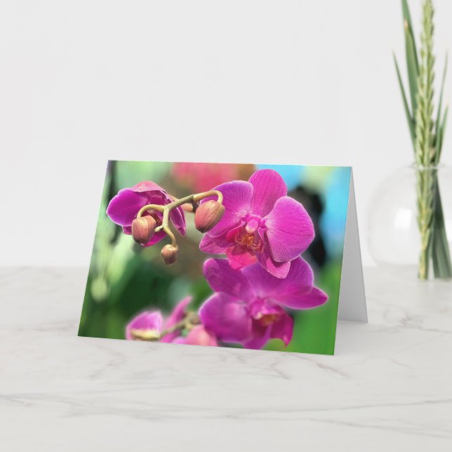 Carte Pink orchids  (Devant)