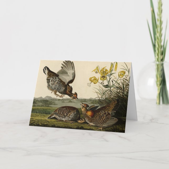 Carte Pinnated Grouse (Devant)