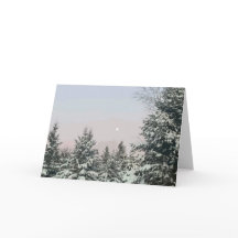Pins couverts de neige au coucher de la lune