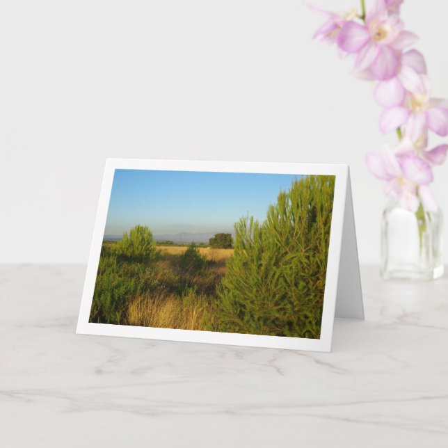 Carte Pins de campagne (Orchidée)