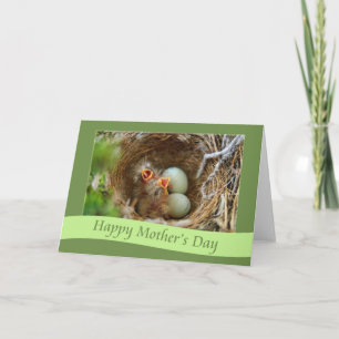 Carte Pinson heureux de bébé du jour de mère