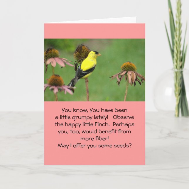 CARTE PINSON JAUNE SUR CONEFLOWER/HUMOR/FRIENDSHIP (Devant)