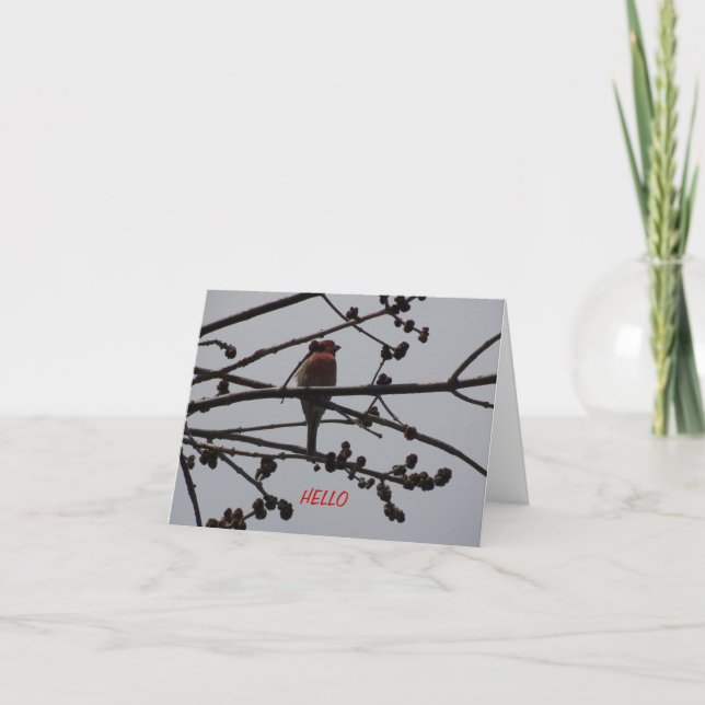Carte Pinson pourpre, lumineux et gai (Devant)
