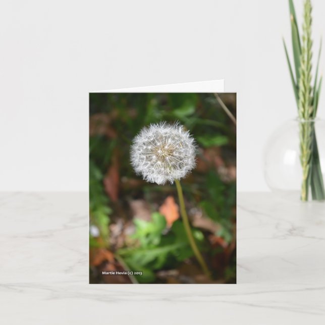 Carte Pissenlit (Devant)