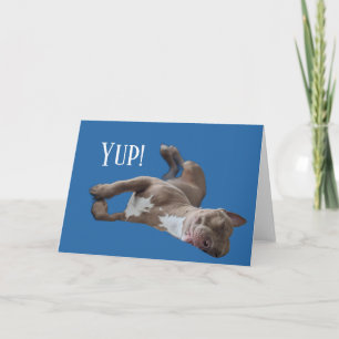Carte Pit Bull Drôle