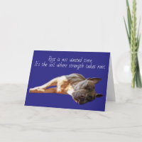 Pit Bull endormi