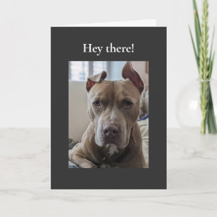Carte Pit Bull Hé là-bas