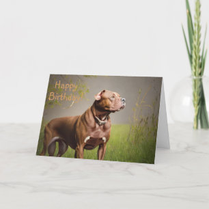 Carte Pitbull DignifiedBrown