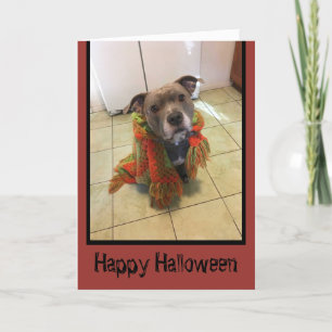 Carte Pitbull Halloween